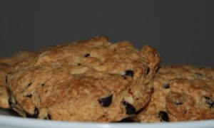 Chocolate_chip_1