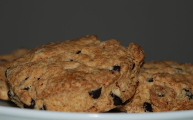 Chocolate_chip_1