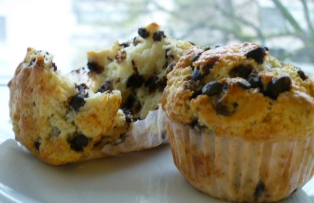 Chocolate_Chip_Muffin