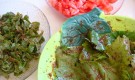 Ekşili Yaprak